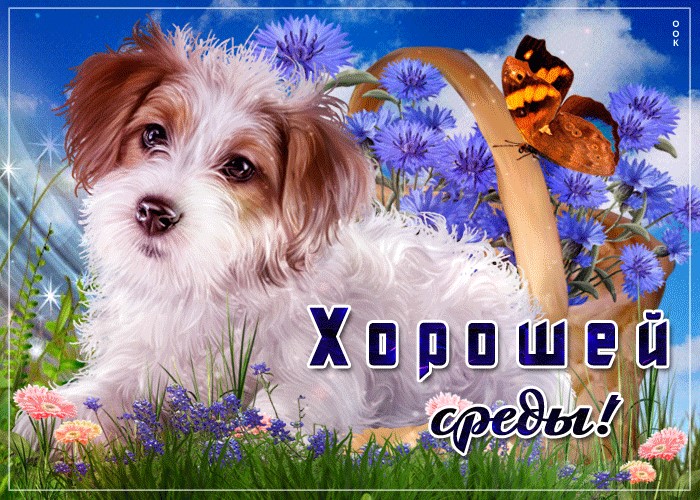 Открытки